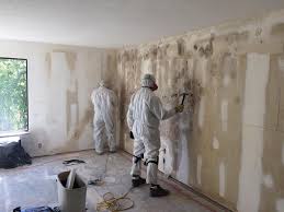 Best Asbestos and Lead Testing During Mold Inspection  in Southside Place, TX